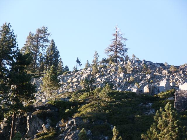 Click to see next picture