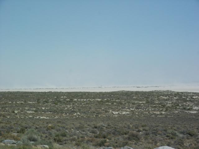 Click to see next picture