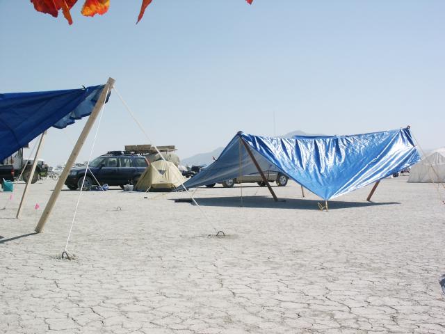 Click to see next picture