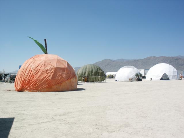 Click to see next picture