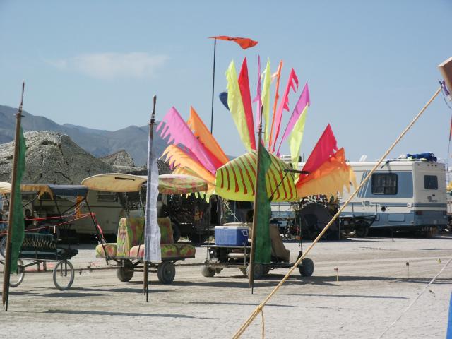 Click to see next picture