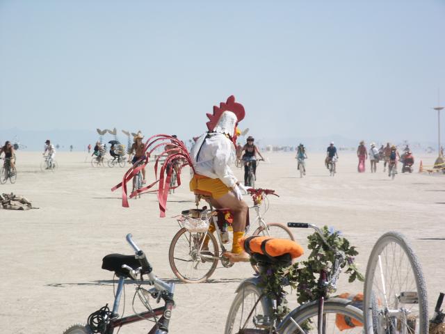 Click to see next picture