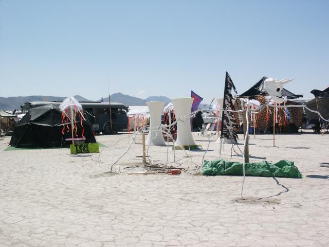 Click to see next picture