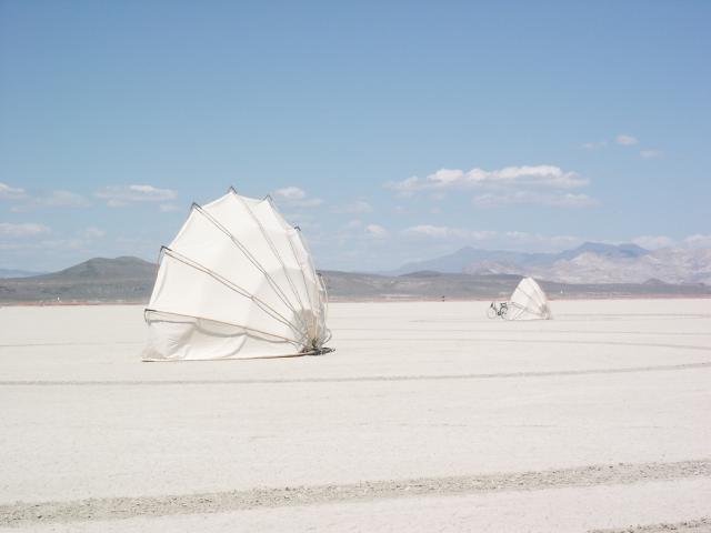 Click to see next picture