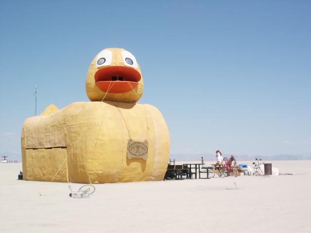 Click to see next picture