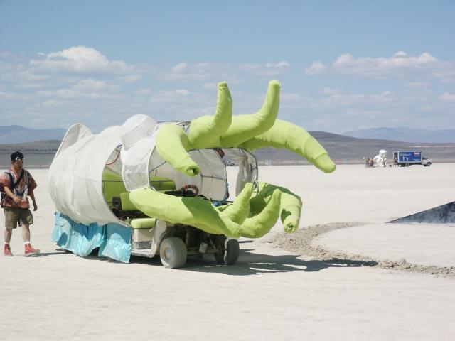 Click to see next picture