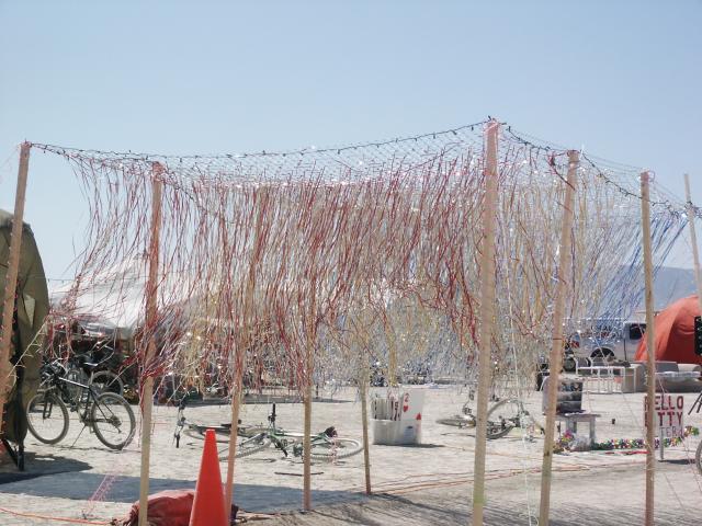 Click to see next picture