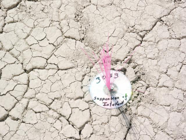 Click to see next picture