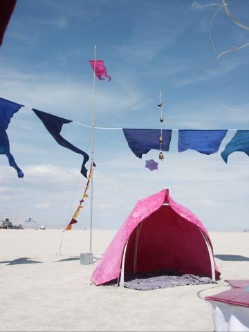 Click to see next picture