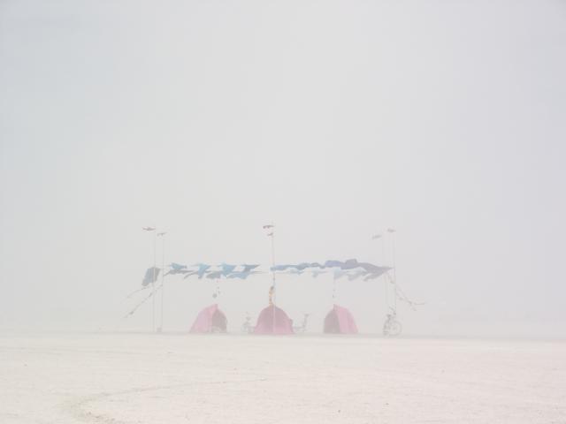 Click to see next picture