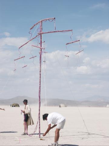 Click to see next picture