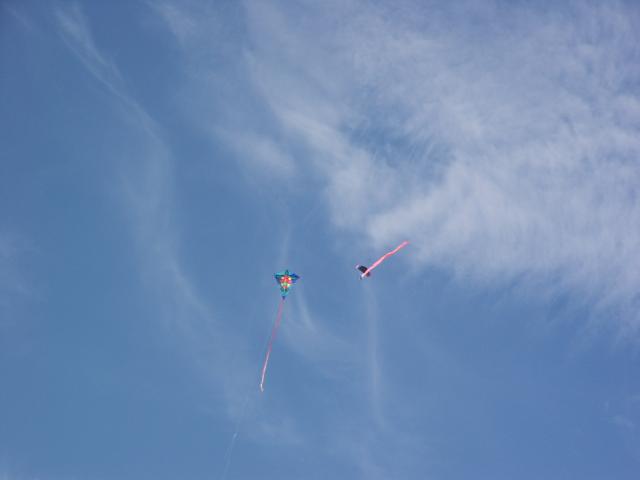 Click to see next picture