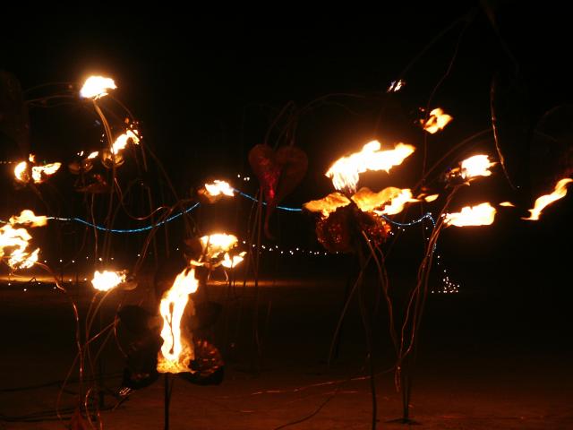 Click to see next picture