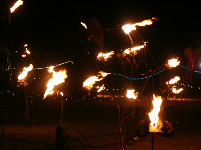 Click to see next picture