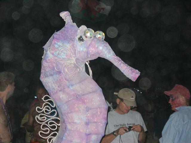 Click to see next picture