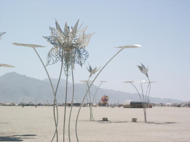 Click to see next picture