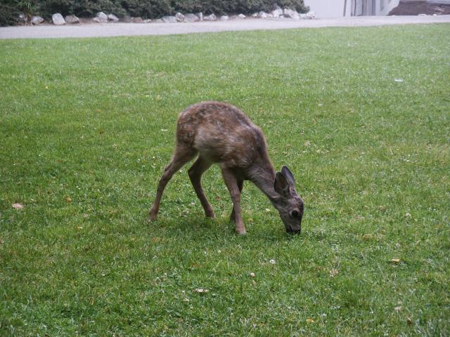 Click to see next picture