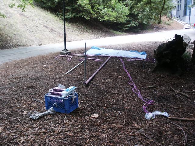 Click to see next picture