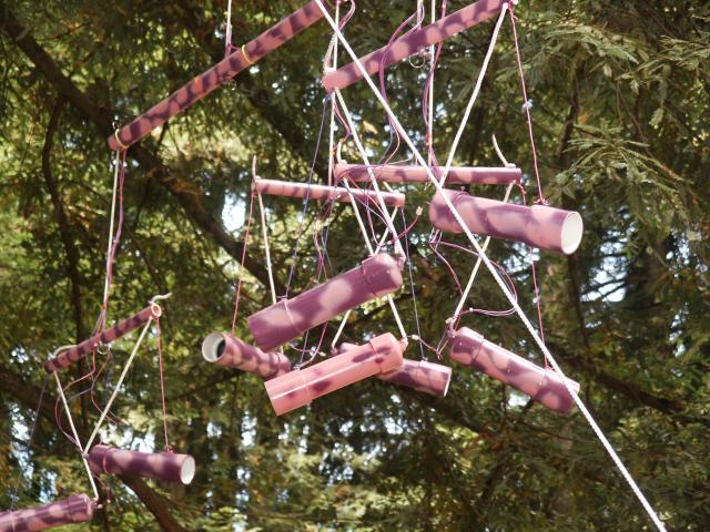 Click to see next picture